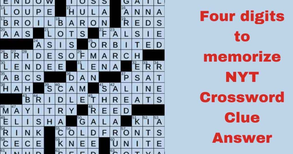 Four digits to memorize NYT Crossword Clue Answer